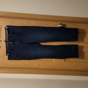 18 Jean Lane Bryant Excellent